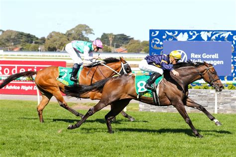 2023 Geelong Cup Odds, Field & Tips I Ladbrokes.